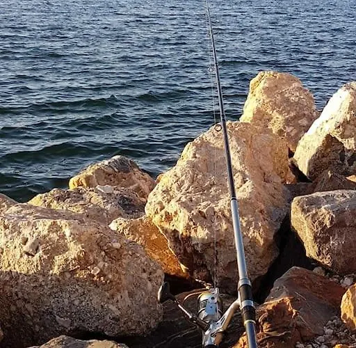 Unique Standing 70m2 !entre Lagune Port Anime Et A 2mn De La Lejlighed Leucate